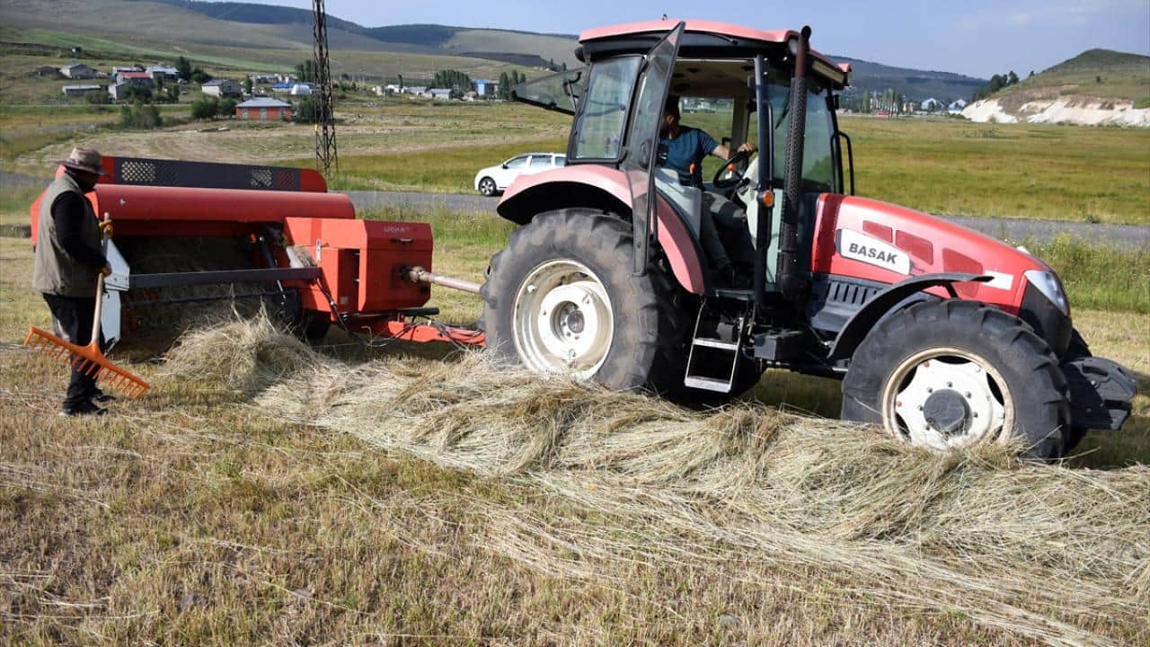 Foto - 6 ay kar altında kalıyorlar! Hayvan yemi için ot biçme mesaisi başladı
