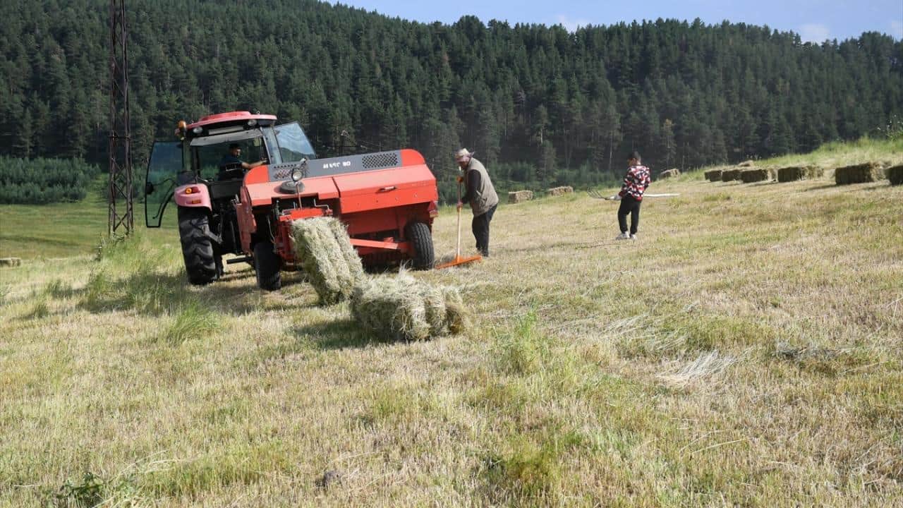 Foto - 6 ay kar altında kalıyorlar! Hayvan yemi için ot biçme mesaisi başladı