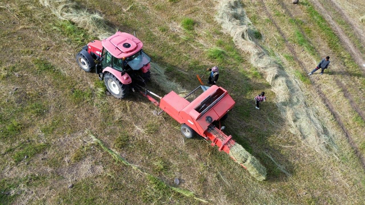 Foto - 6 ay kar altında kalıyorlar! Hayvan yemi için ot biçme mesaisi başladı
