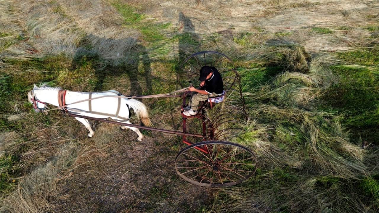 Foto - 6 ay kar altında kalıyorlar! Hayvan yemi için ot biçme mesaisi başladı
