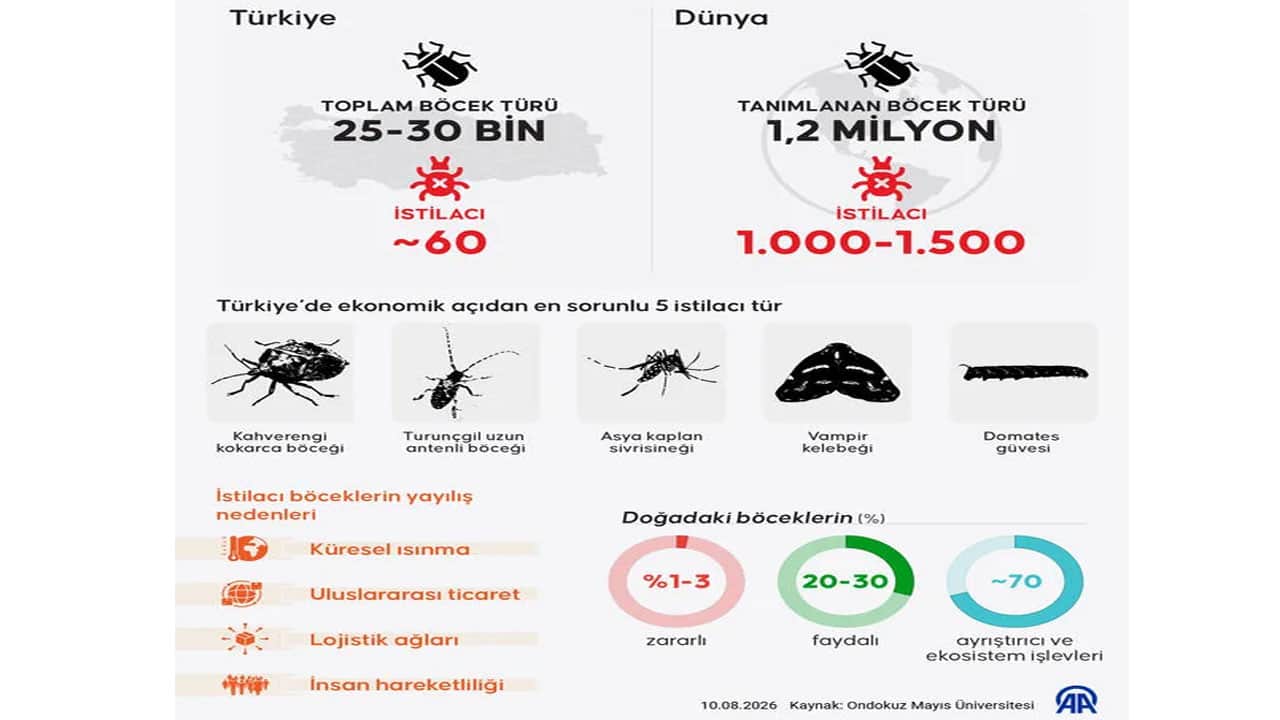 Foto - 60 tür işgalci bulunuyor Yabancı istilası altındayız
