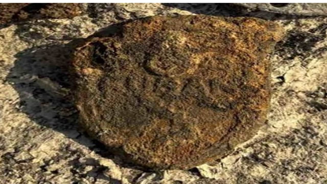 Foto - 80 yıl sonra bulunan kimlikler şaşırttı! Kim oldukları araştırılıyor!