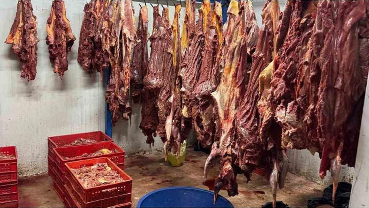 Foto - 9 üründe at, eşek ve katır eti tespit edildi! İşte o utanmaz firmalar