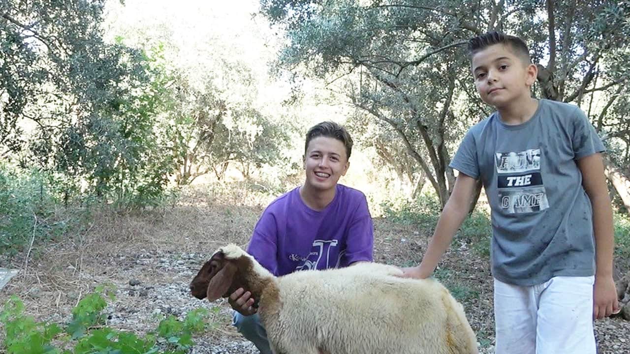 9 yaşında kurduğu çiftliği tavukların telef olmasıyla yarım kalmıştı! Erolcan'ın çiftlik hayali iki kuzuyla yeniden yeşerdi