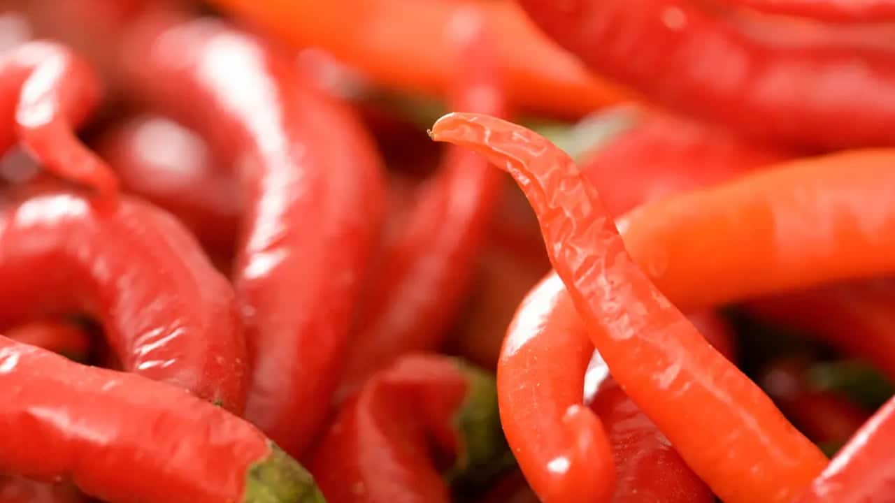 Foto - Acı biber araştırıldı:İştahı keser mi? Hazırlık için 212 °F (100 °C) derece sıcaklık olmalı