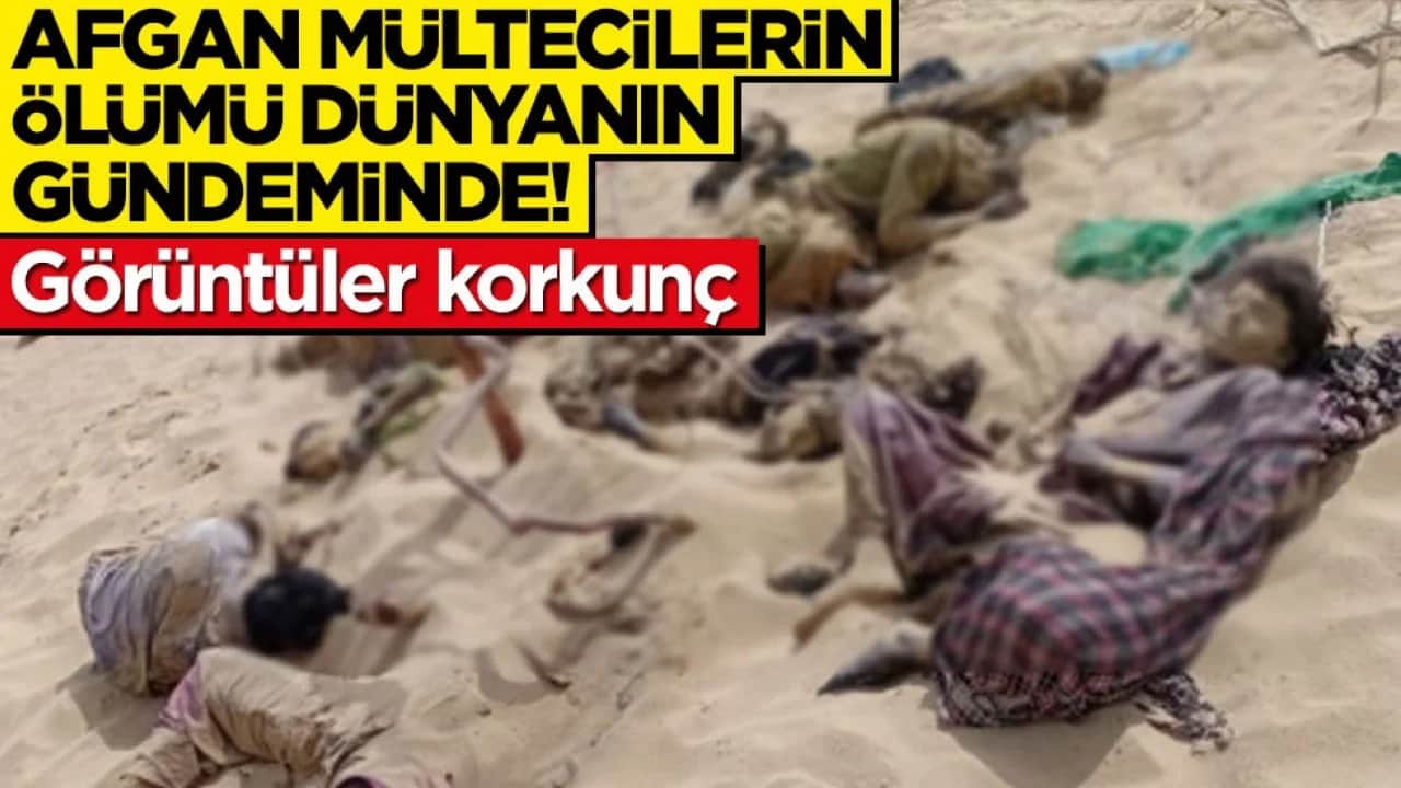 Afgan mültecilerin ölümü dünya gündeminde! Fotoğraflar korkunç