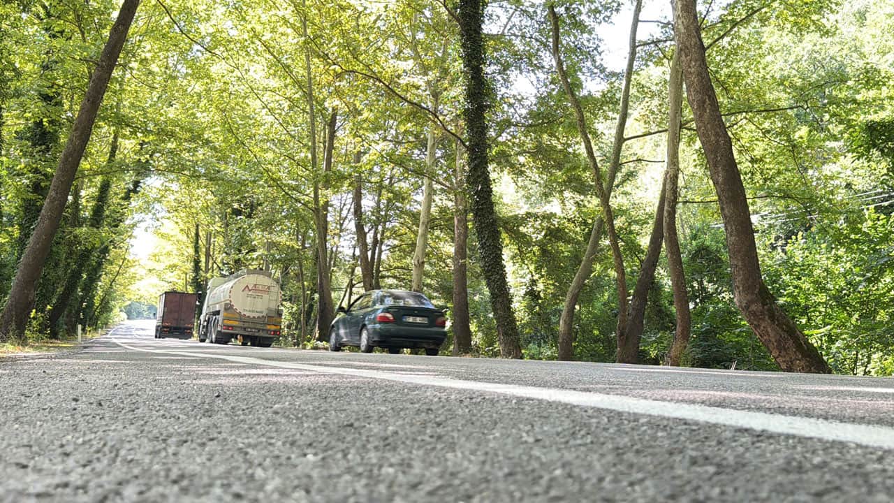 Foto - Ağaçların arasında uzanan yol görenleri büyülüyor! Dünyaca ünlü tünelleri aratmıyor