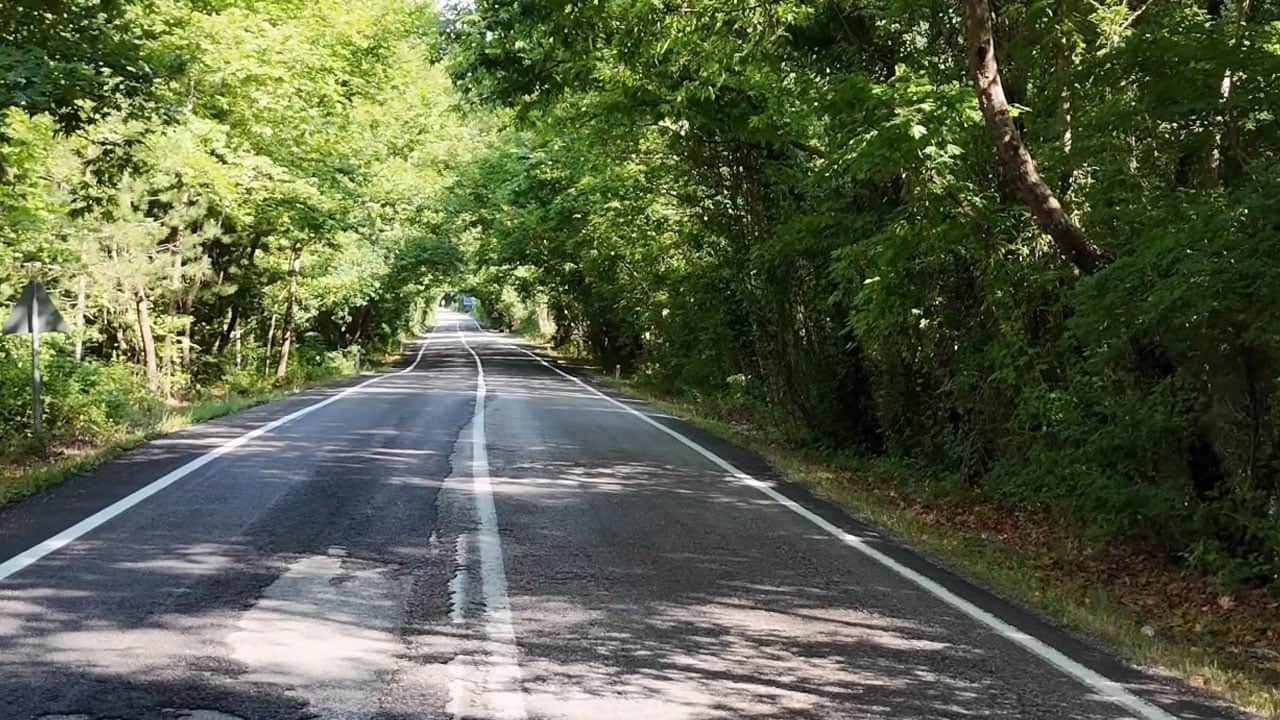 Foto - Ağaçların arasında uzanan yol görenleri büyülüyor! Dünyaca ünlü tünelleri aratmıyor