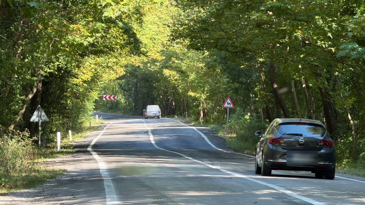 Foto - Ağaçların arasında uzanan yol görenleri büyülüyor! Dünyaca ünlü tünelleri aratmıyor