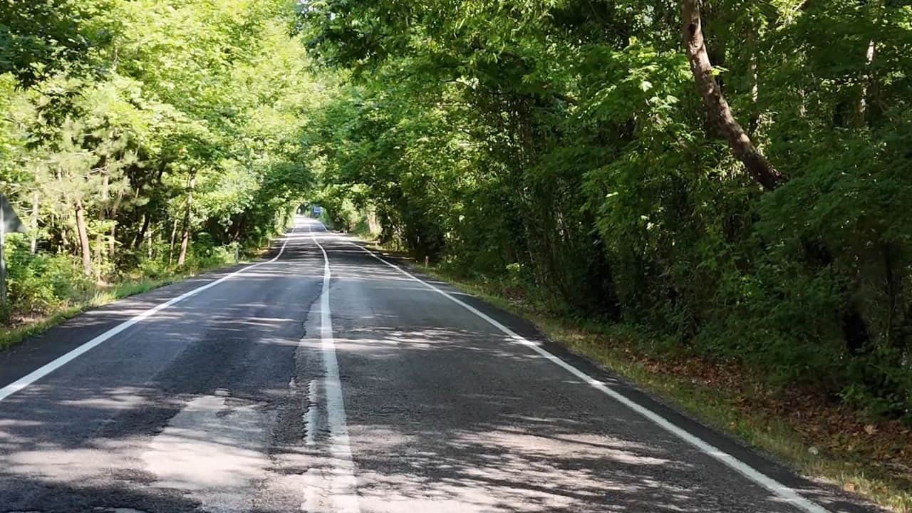 Foto - Ağaçların arasında uzanan yol görenleri büyülüyor! Dünyaca ünlü tünelleri aratmıyor