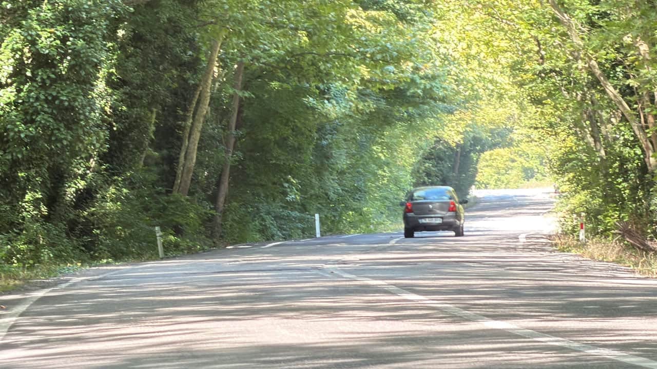 Foto - Ağaçların arasında uzanan yol görenleri büyülüyor! Dünyaca ünlü tünelleri aratmıyor