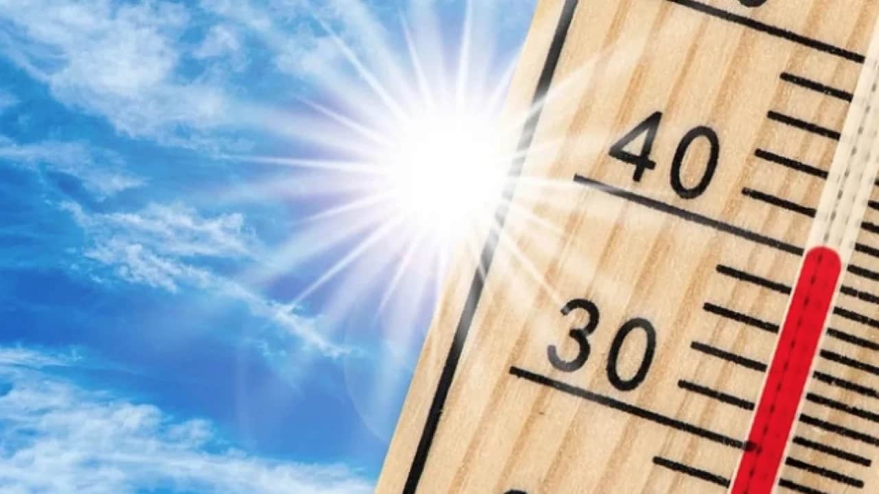 Ağustos ayı çok riskli: Aşırı sıcaklarda sağlıklı kalmak için en önemli uyarılar!