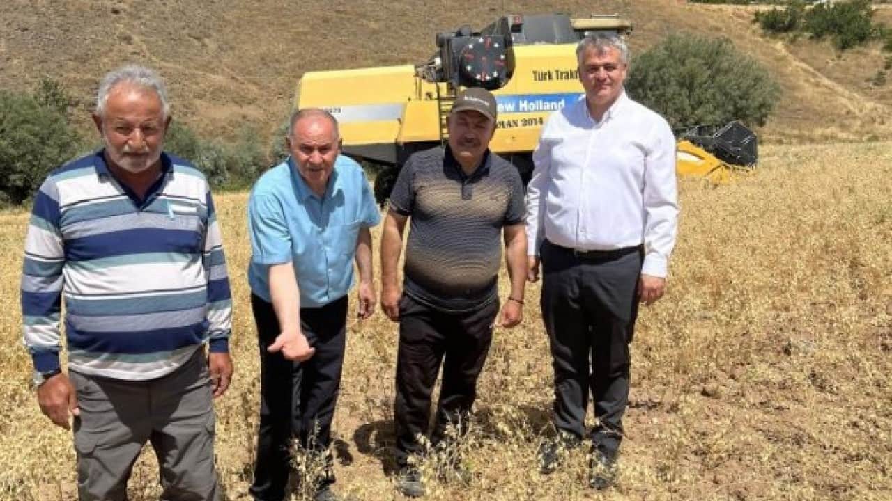 Foto - AK Partili belediye çalışıyor! Tohum desteği hasatta mutlu etti