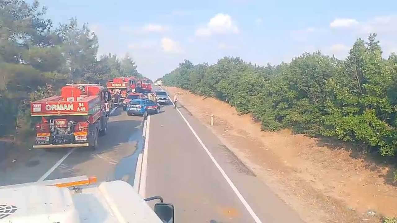 Foto - Alevler ormana sıçradı yol ulaşıma kapatıldı! Edirne'de korkutan yangın!