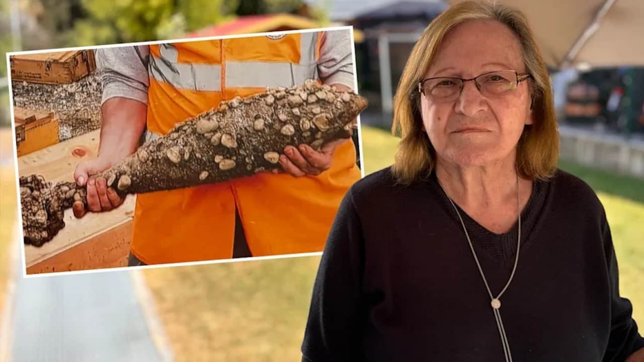 Foto - Alman sevicilerin "Almanyası"! Kendi pisliğini temizledi faturayı yaşlı kadına kesti