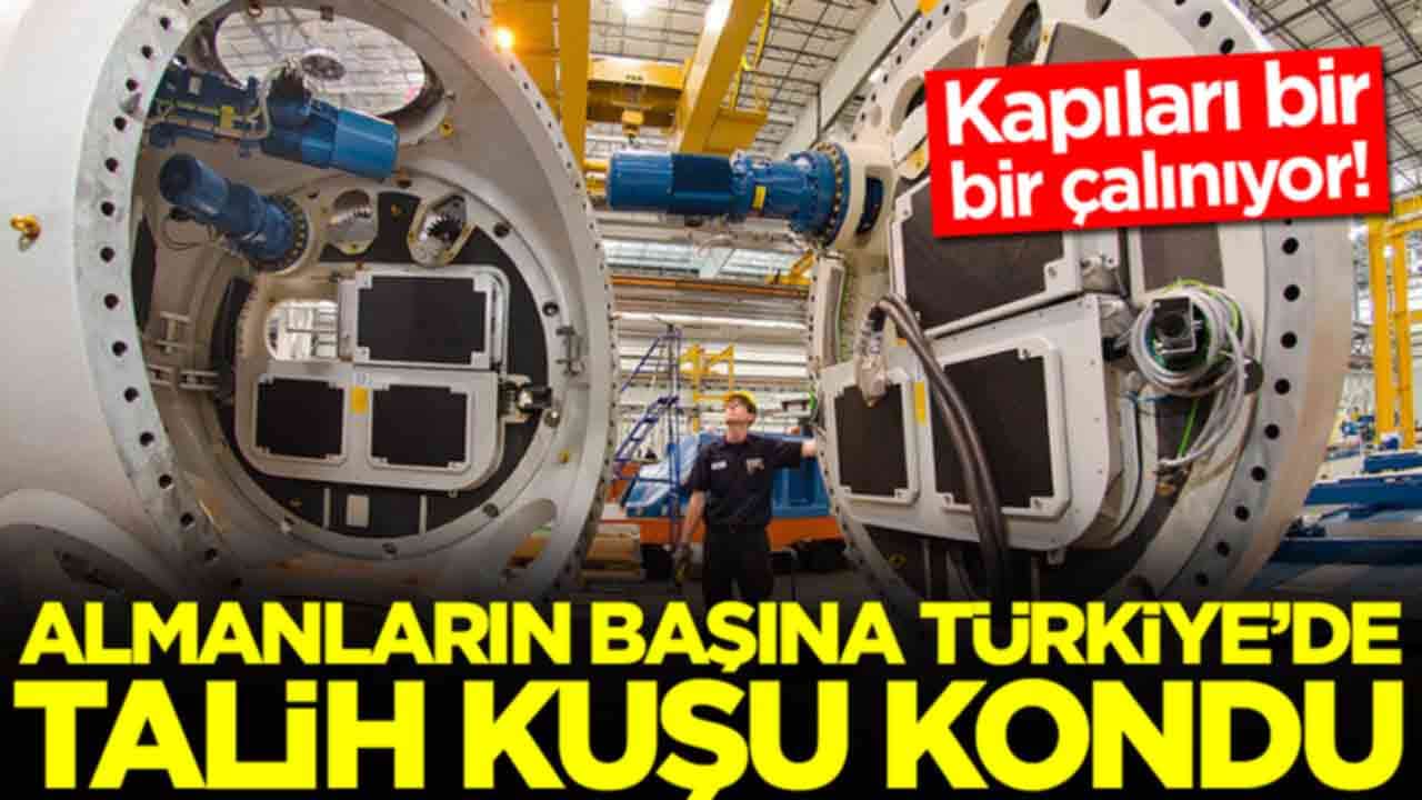 Almanların başına Türkiye'de talih kuşu kondu