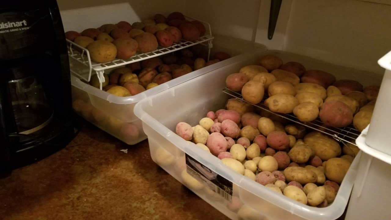 Foto - Aman dikkat bu hatayı yapmayın! Patates buzdolabında saklanır mı?