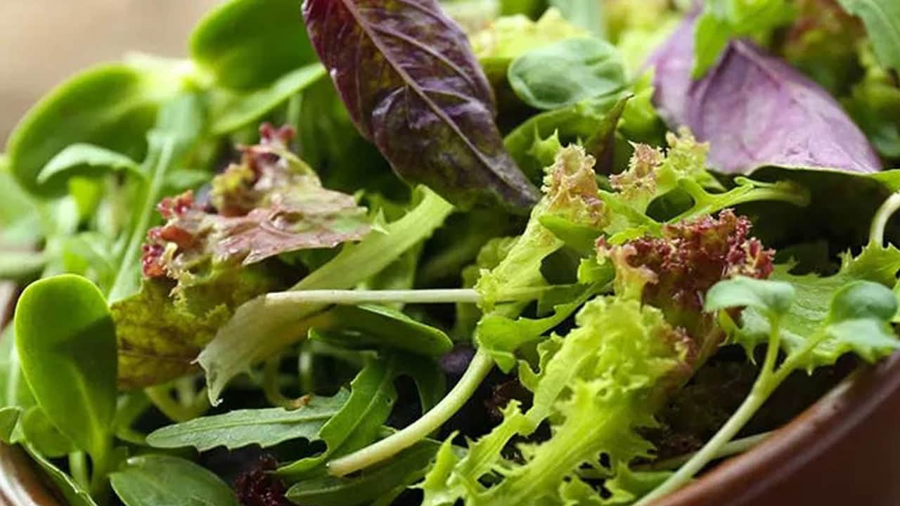 Foto - Aman dikkat! Marketlerde satılan hazır salataları yeniden yıkamak doğru mu?