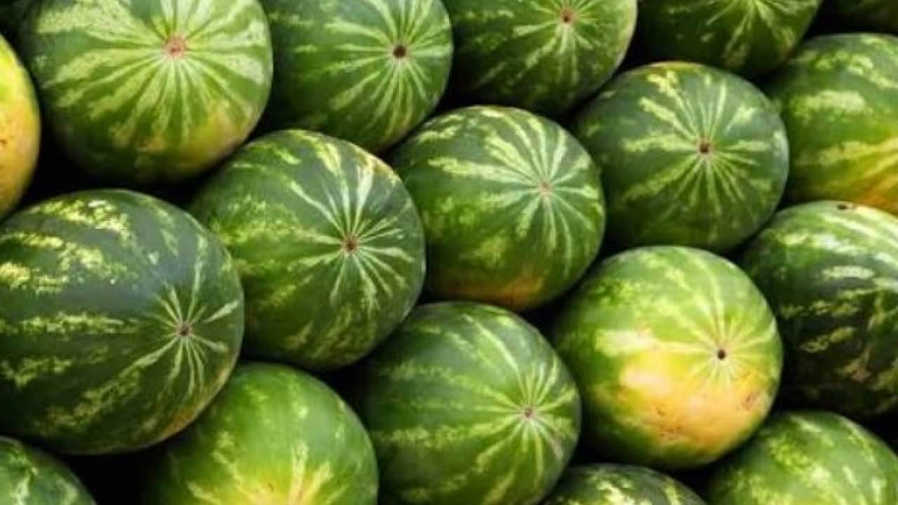 Aracıyı devre dışı bıraktı! Karpuzunu pazarda kendisi satıyor