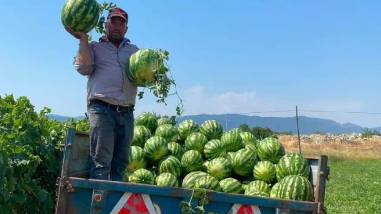Foto - Aracıyı devre dışı bıraktı! Karpuzunu pazarda kendisi satıyor