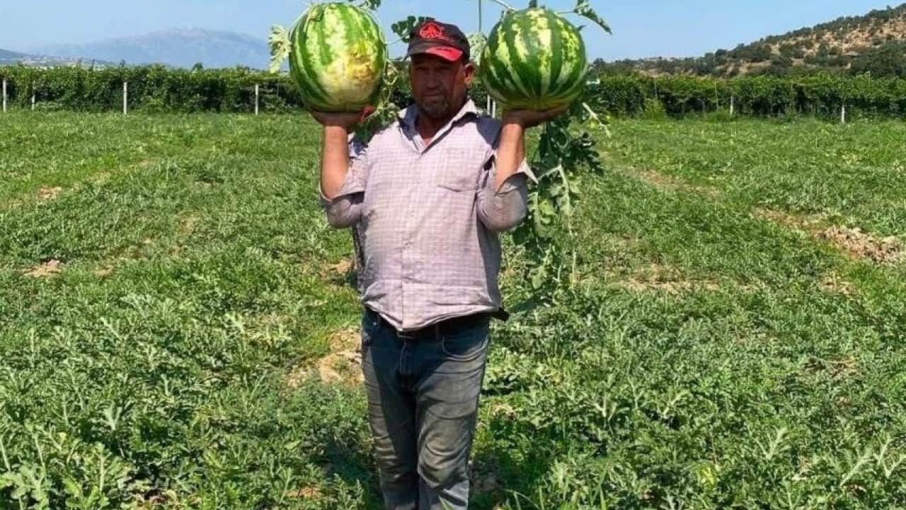 Foto - Aracıyı devre dışı bıraktı! Karpuzunu pazarda kendisi satıyor