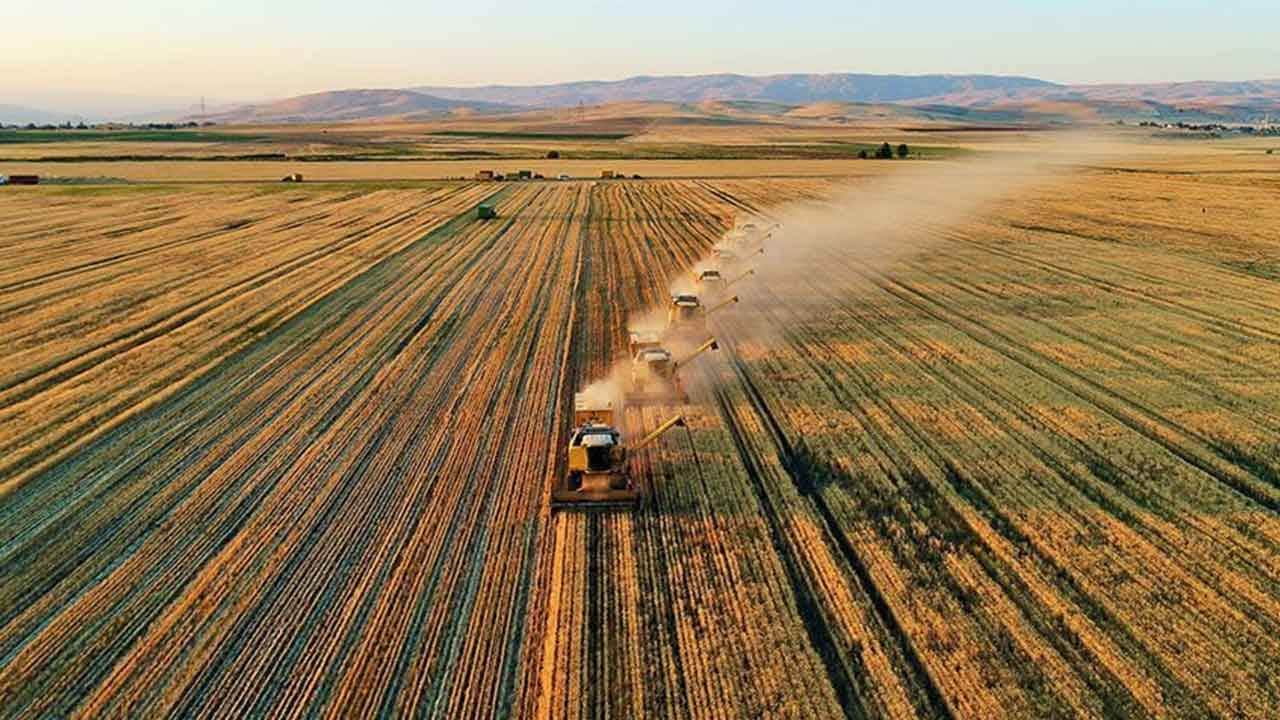 Foto - Arazisi olanları havalara uçuracak gelişme: Hükümet o kriteri resmen değiştirdi