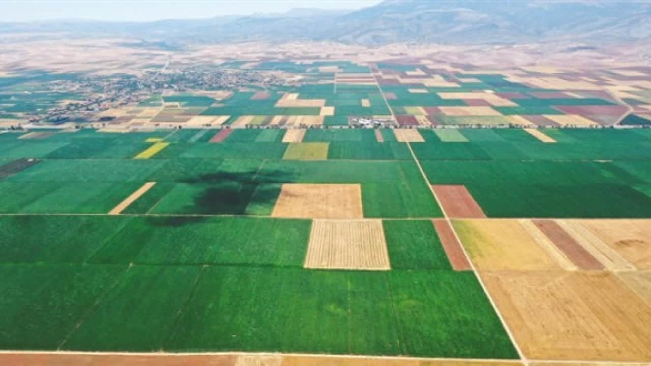 Foto - Arazisi olanları havalara uçuracak gelişme: Hükümet o kriteri resmen değiştirdi