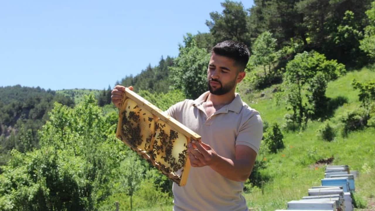 Foto - Arıcıların yüzü gülüyor Sivas bu yıl bal gibi rekor kıracak