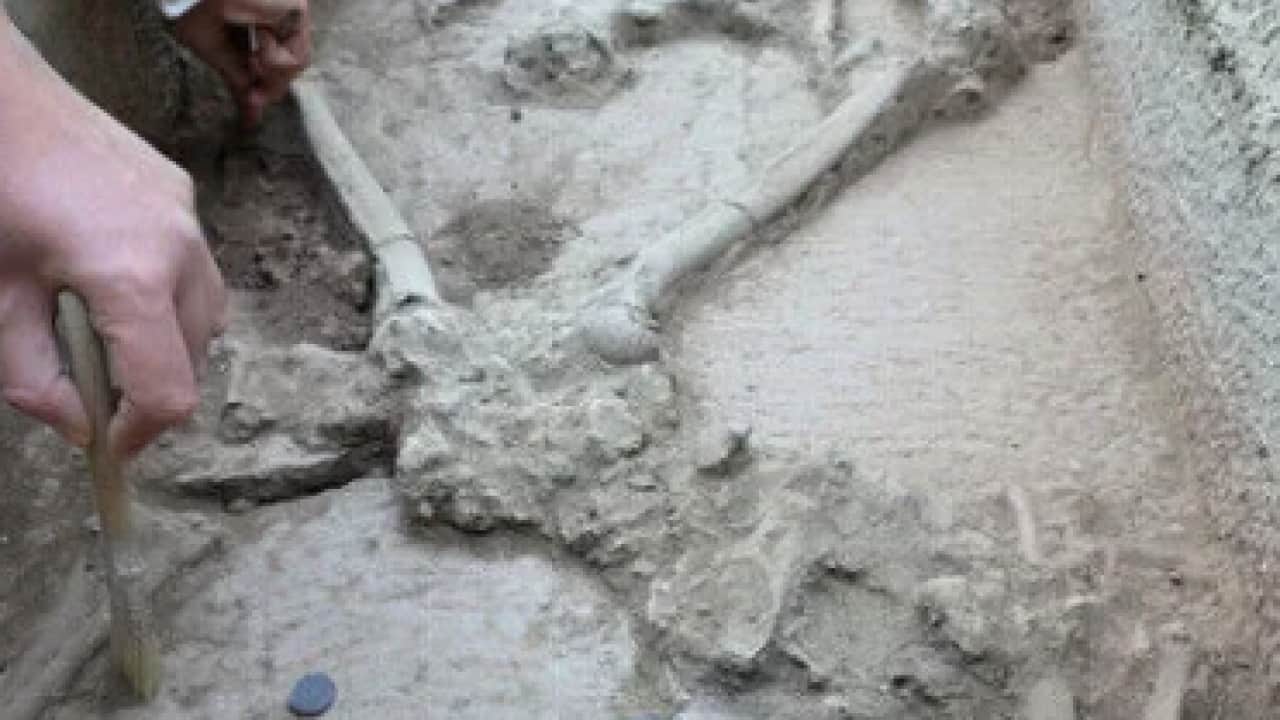 Kovanların üzerindekini görenler şaştı kaldı! Üreticiden basit çözüm!