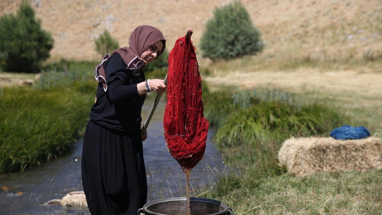 Ata mirası: Kök boya geleneği! Gelecek kuşaklara böyle aktarıyorlar