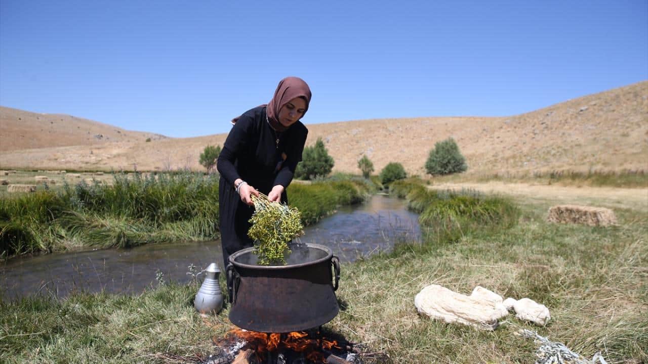 Foto - Ata mirası: Kök boya geleneği! Gelecek kuşaklara böyle aktarıyorlar