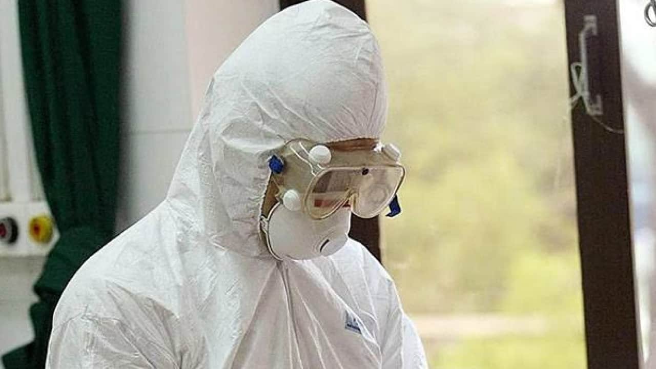 Foto - Avrupa'da yeni virüs paniği: Hastalık sivrisineklerle yayılıyor