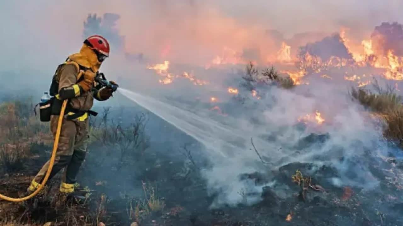 Foto - Avrupa’nın zararı 19 milyar avroyu aştı Orman yangınları ekonomiyi de yaktı