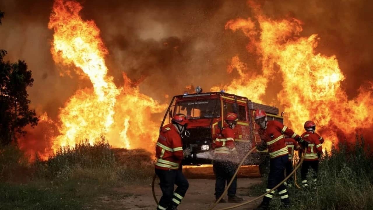 Foto - Avrupa’nın zararı 19 milyar avroyu aştı Orman yangınları ekonomiyi de yaktı