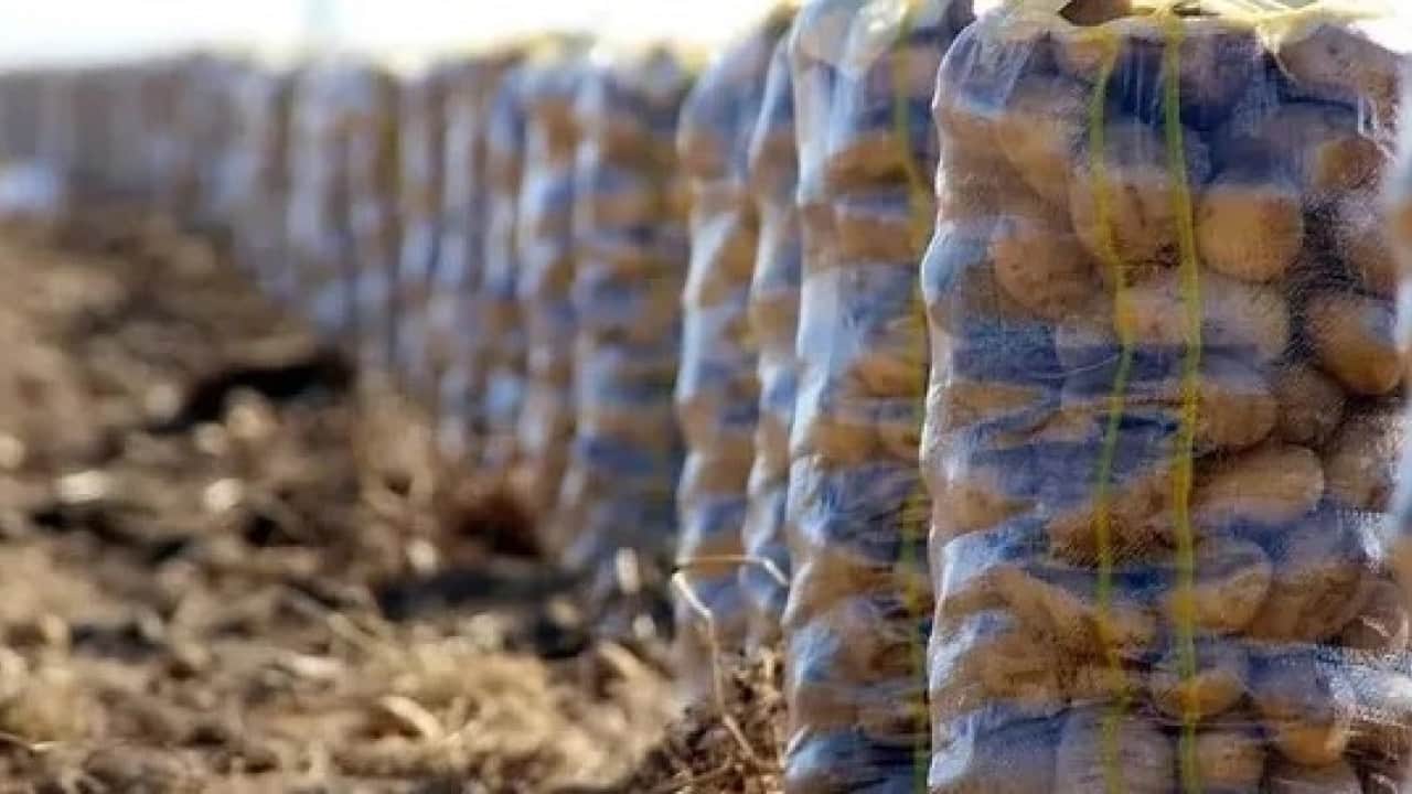 Foto - Avrupa’yı patates krizi vurdu: Fiyatlar yükseliyor
