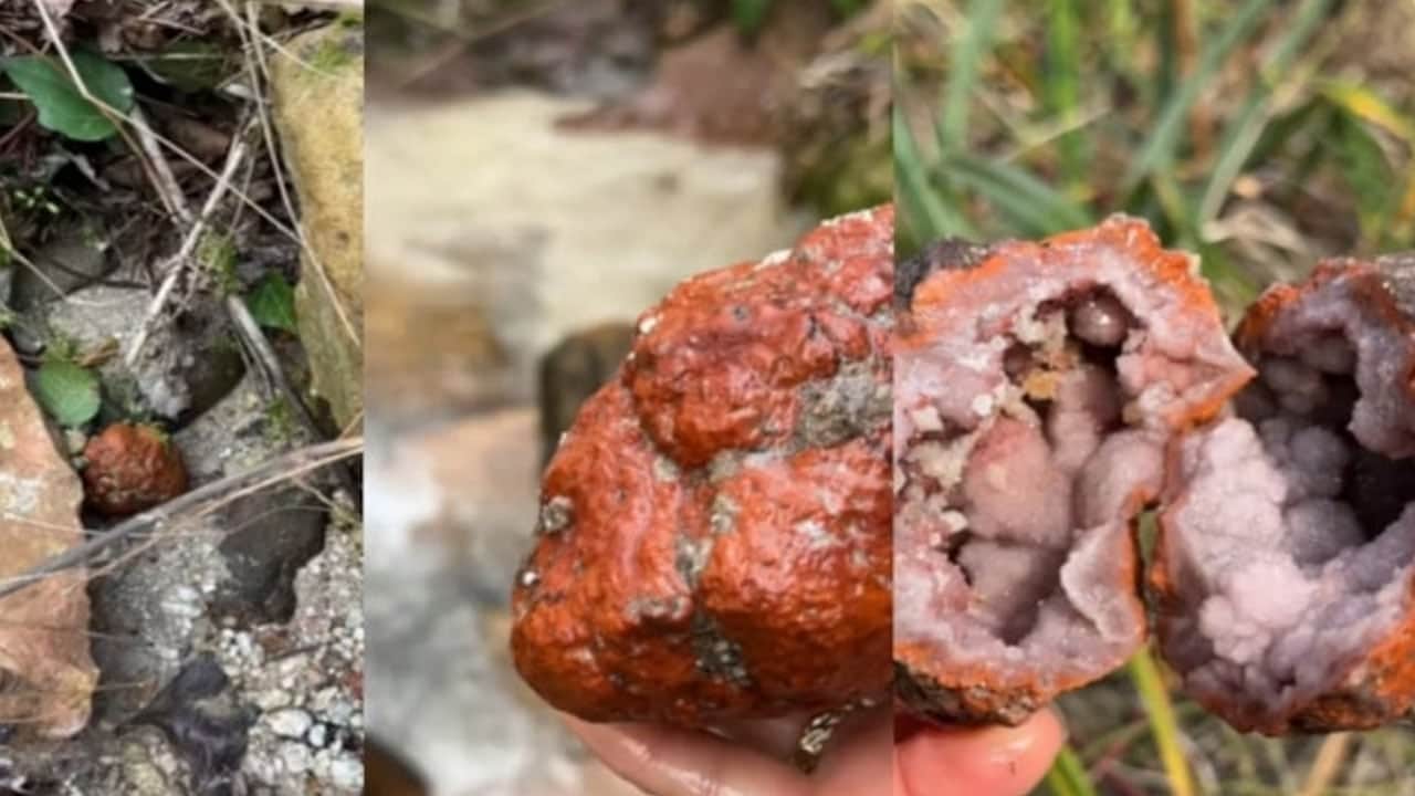 Foto - Ayağına takılan taştan servet çıktı! Bir çok şehrimiz bu hazinelerle dolu