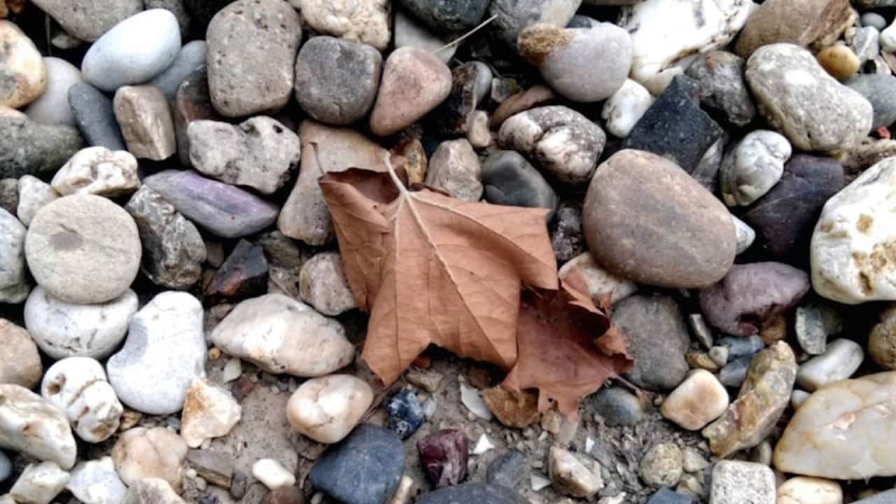 Ayağına takılan taştan servet çıktı! Bir çok şehrimiz bu hazinelerle dolu