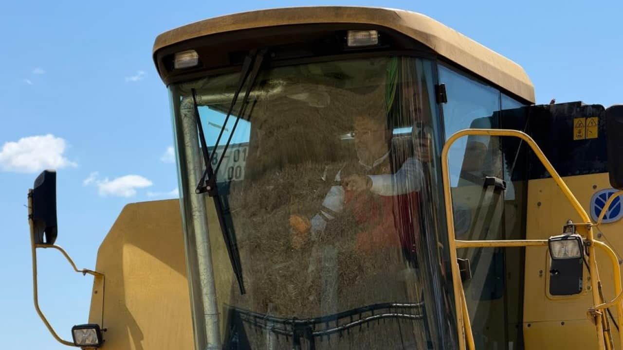 Foto - Bakan Yumaklı: Üreticimizin elinde ürün bırakmadık 140 milyon tonla sezonu kapatacağız
