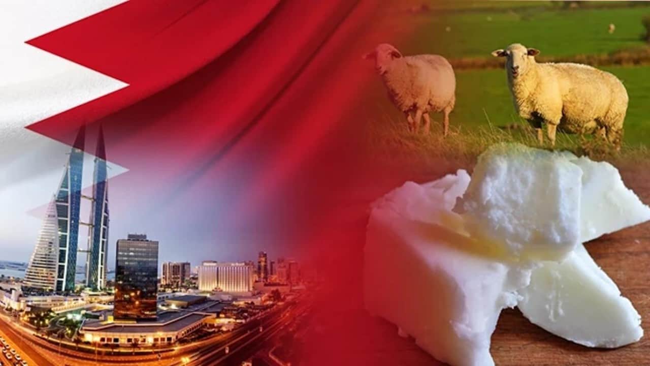 Foto - Bakanlık, ihracatçı için 107 sektörel pazarı raporlaştırdı 80 ülkenin Pazar röntgeni çekildi