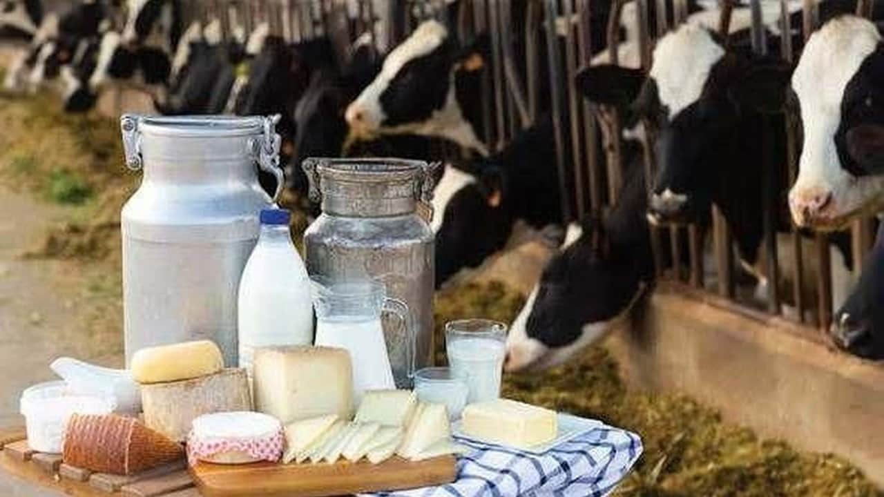 Foto - Bakanlık tek tek açıkladı! İşte en sık görülen 10 gıda hilesi: Sucuk ve salamda domuz eti
