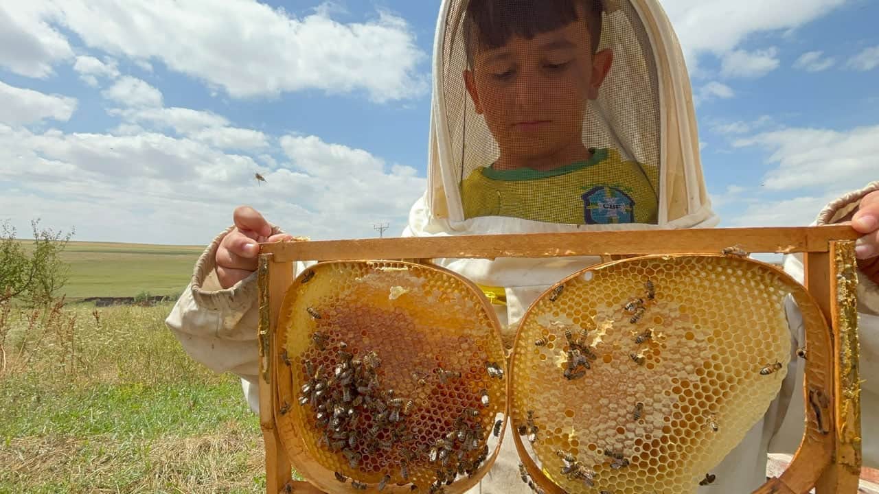 Foto - Bal hasadı yüzleri güldürdü! Kovanlar doldu, fiyatı 2 bin 500 liraya çıktı