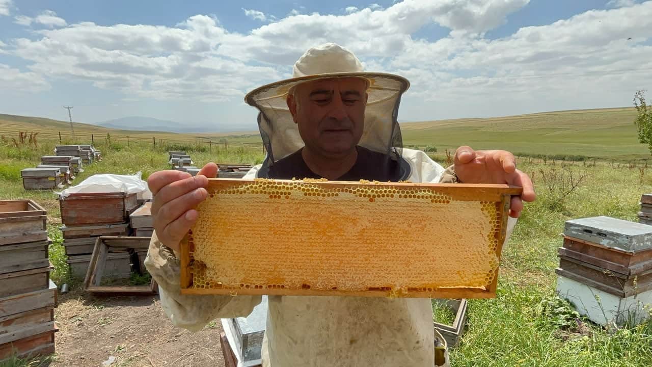 Bal hasadı yüzleri güldürdü! Kovanlar doldu, fiyatı 2 bin 500 liraya çıktı