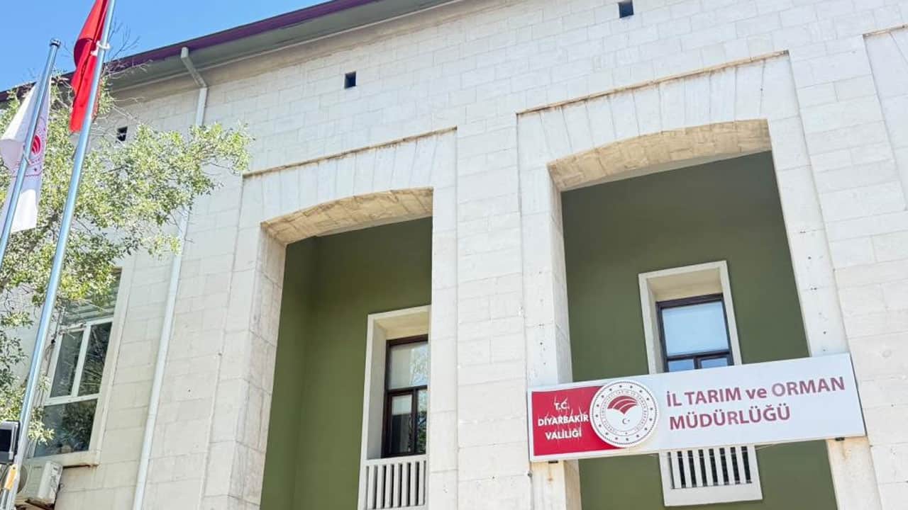 Foto - Diyarbakır'dan çok kötü haber: Kedinin ısırdığı çocuk entübe edildi!