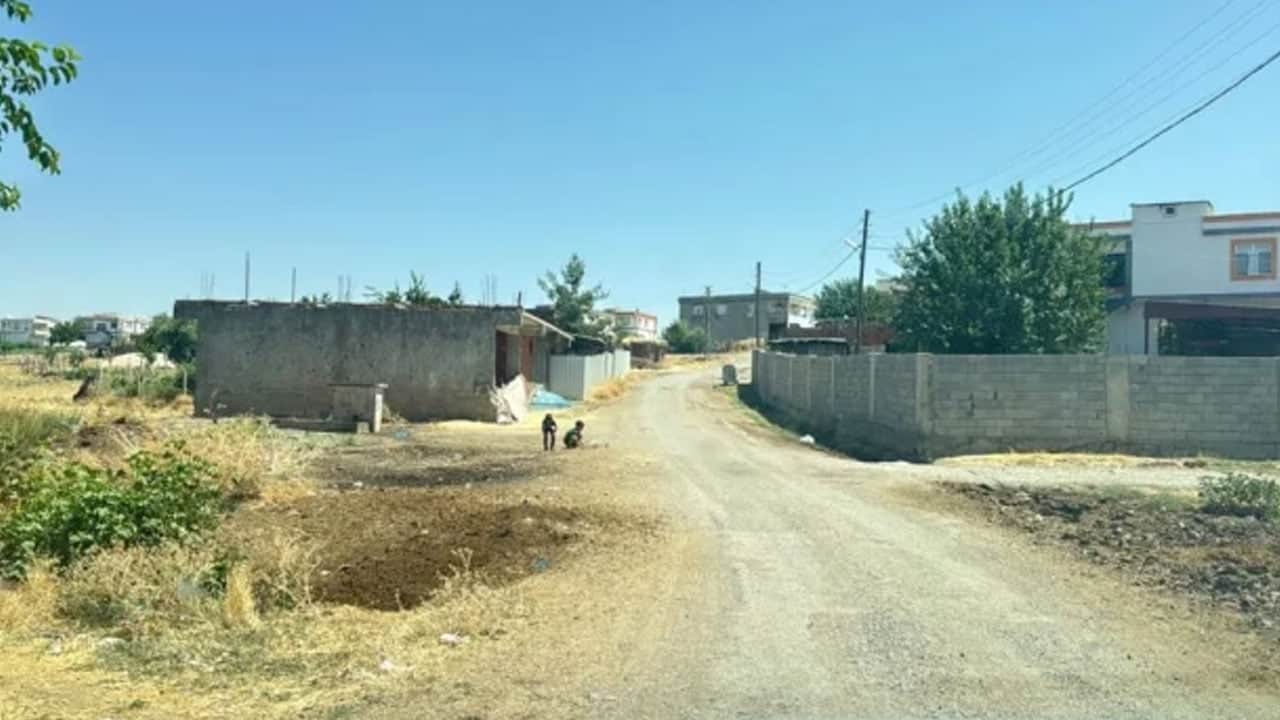 Foto - Diyarbakır'dan çok kötü haber: Kedinin ısırdığı çocuk entübe edildi!