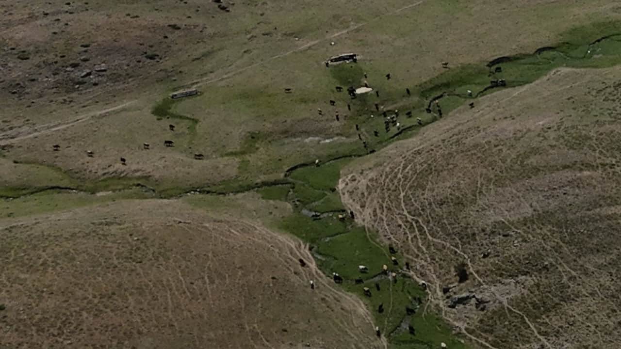 Foto - Başkentin yılkı atları, yaylalarda dörtnala görüntülendi