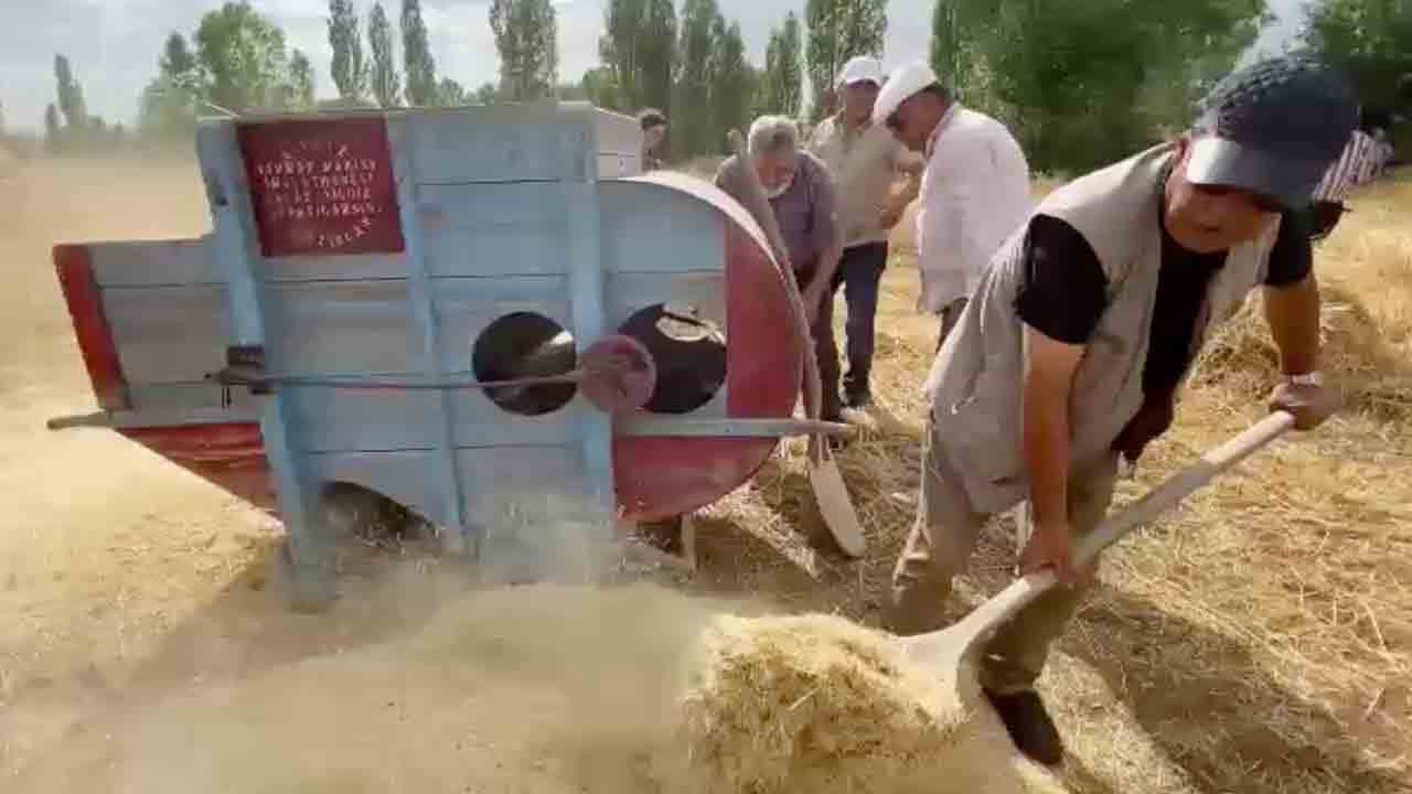Foto - Bayburt’taki Harman Festivali’nde renkli görüntüler… ‘Aksakal’ Yıldırım ekin biçti, patoz vurdu