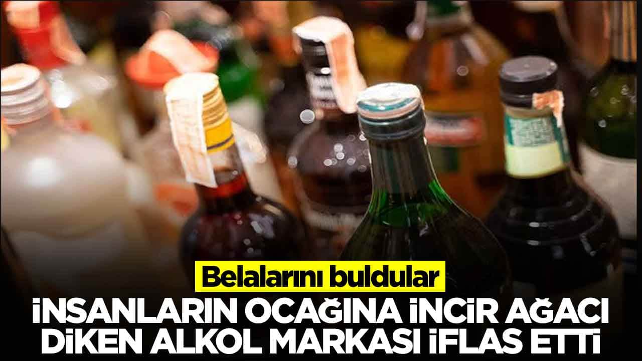 Belalarını buldular: İnsanların ocağına incir ağacı diken alkol markası iflas etti