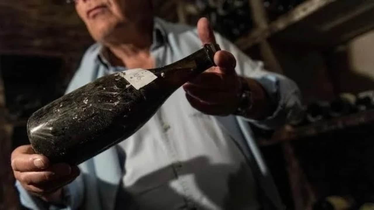 Foto - Belalarını buldular: İnsanların ocağına incir ağacı diken alkol markası iflas etti