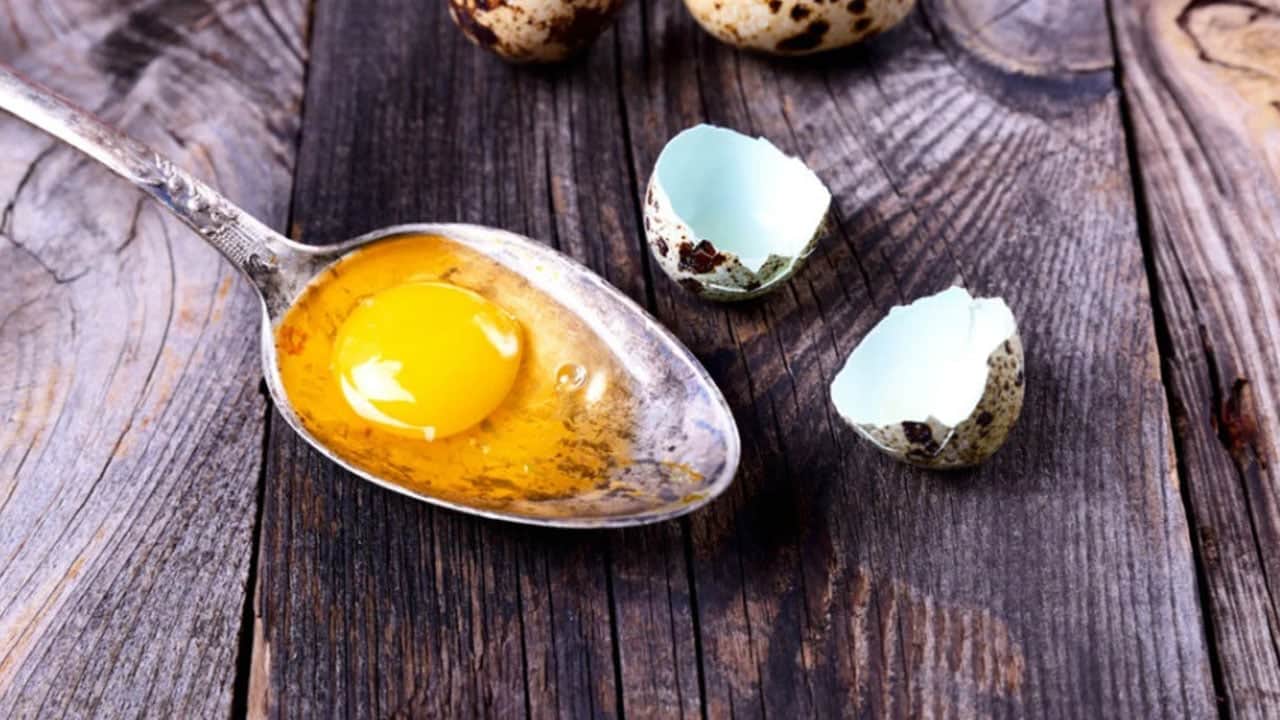 Bıldırcın yumurtasında saklı moleküler güç! Hedef kanser hücrelerini seçici biçimde baskılamak