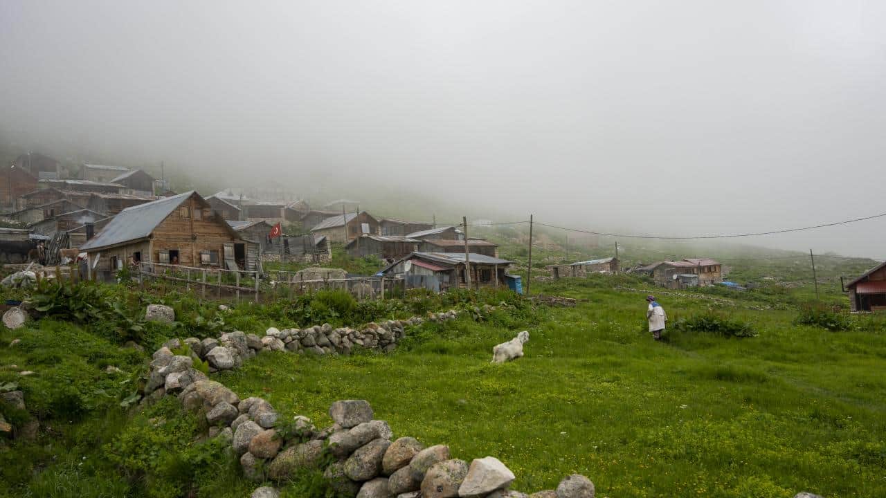 Foto - Bir başkadır Kaçkar Dağları! Yaylalarda bir gün böyle geçiyor…